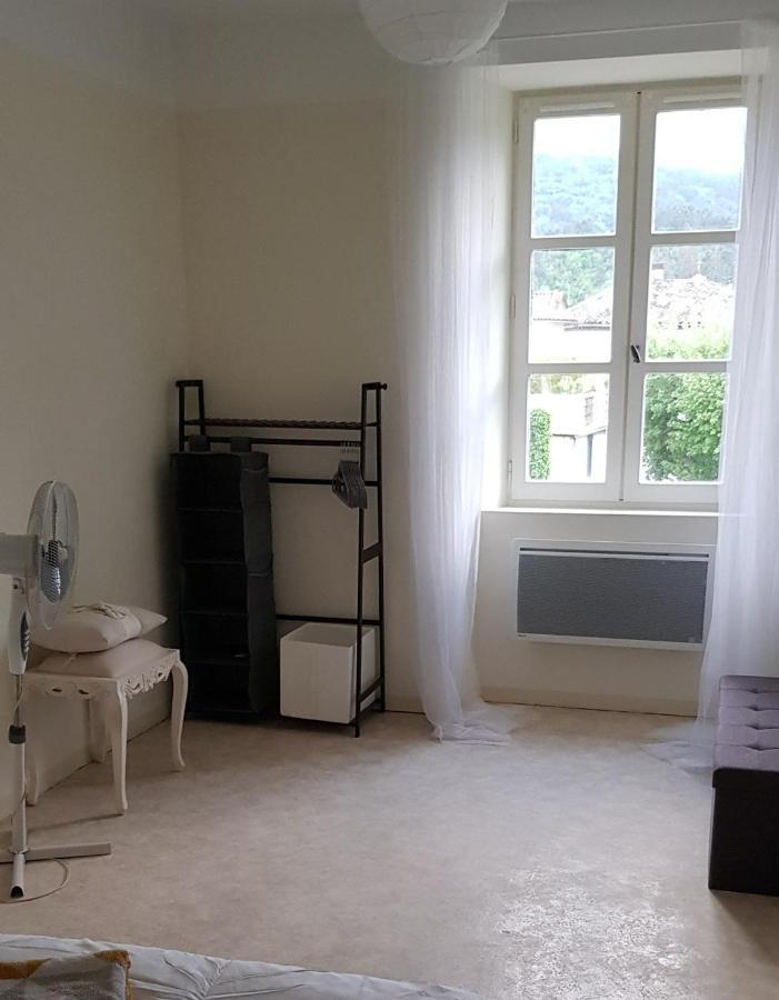 סן-ז'אן-דו-גאר Vista Cevenol: Appartement 2 Chambres מראה חיצוני תמונה